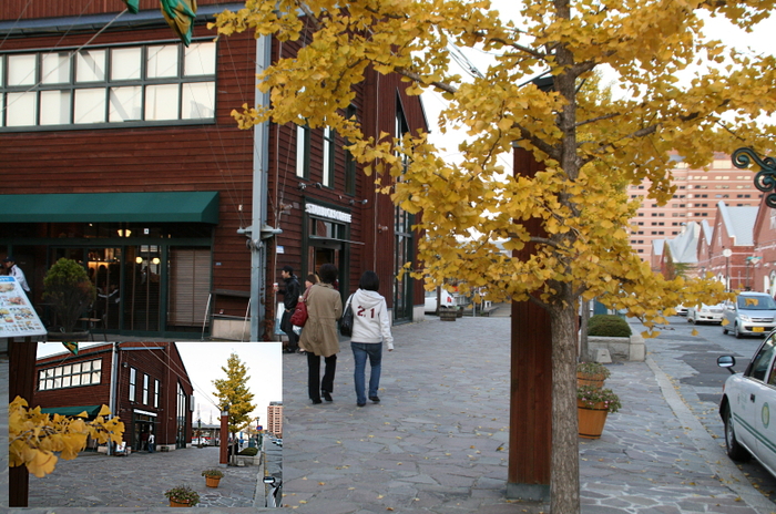 c0112479_1263327.jpg