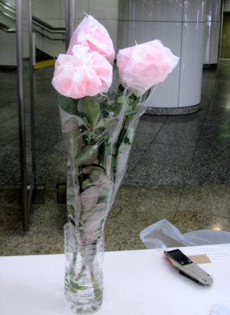 d0099791_184997.jpg