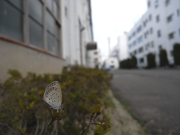 b0194593_20144627.jpg