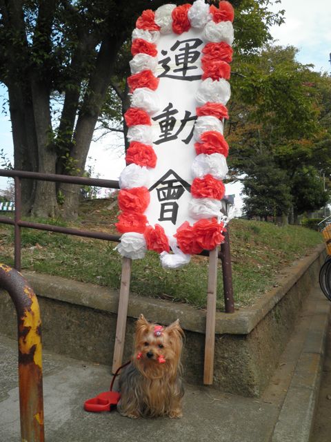 f0130894_20155175.jpg