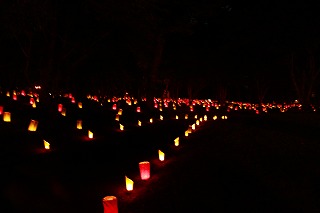 f0176194_19423493.jpg