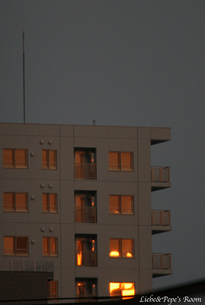f0001895_16135086.jpg