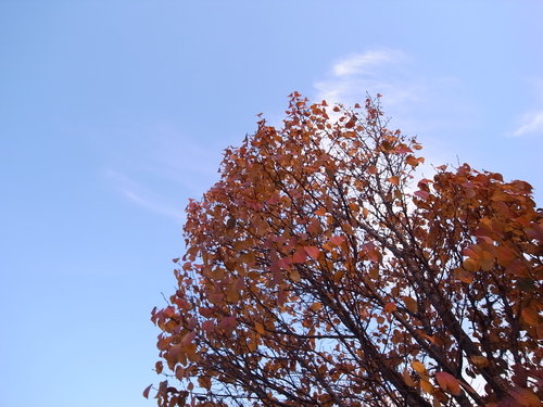f0084795_2364037.jpg