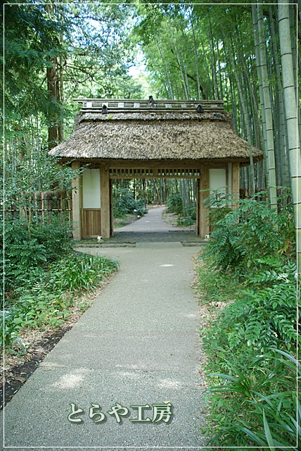 b0145398_21305729.jpg