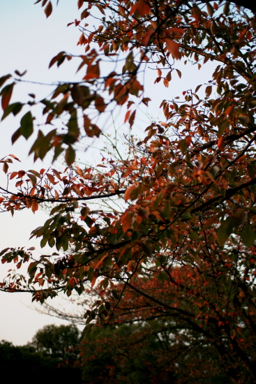 c0129498_2283524.jpg