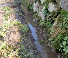 c0151898_1727401.jpg