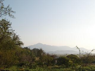 c0187298_21175320.jpg