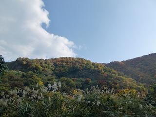 c0187298_21213259.jpg