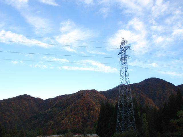 a0061599_7211411.jpg