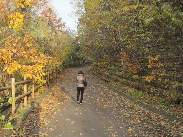 f0202703_23341633.jpg