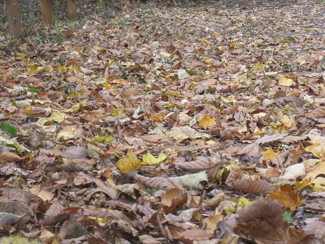 f0202703_23342958.jpg