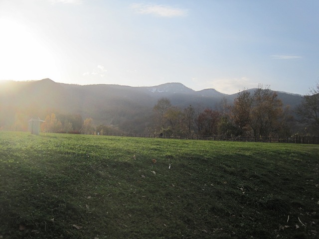 f0202703_2335382.jpg