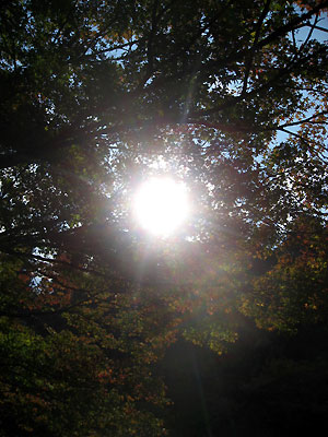 e0118904_21442875.jpg
