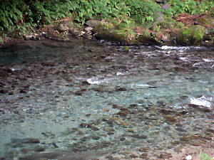 e0118904_21511525.jpg