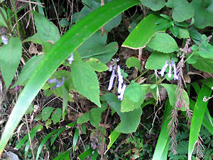 e0118904_22421853.jpg