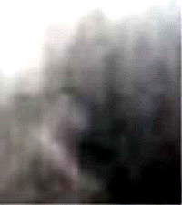 e0103408_1319889.gif