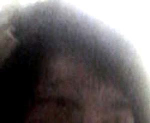e0103408_139499.gif