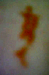 e0103408_191858.gif