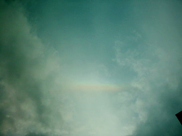 e0103408_1919163.gif