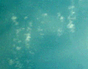 e0103408_19193338.gif