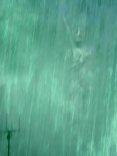 e0103408_19194978.gif