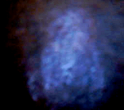 e0103408_19202210.gif