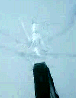 e0103408_1920736.gif