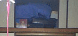 e0103408_20153881.gif