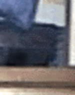 e0103408_2016108.gif