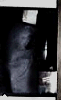 e0103408_2035151.gif