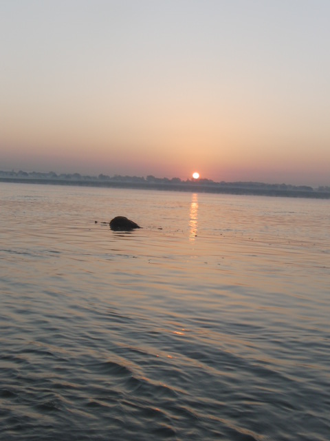 e0141909_2314546.jpg