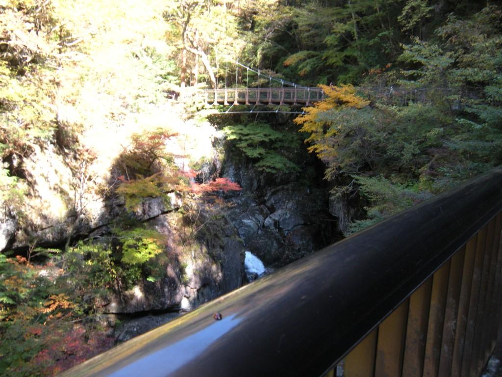 f0219810_21314282.jpg