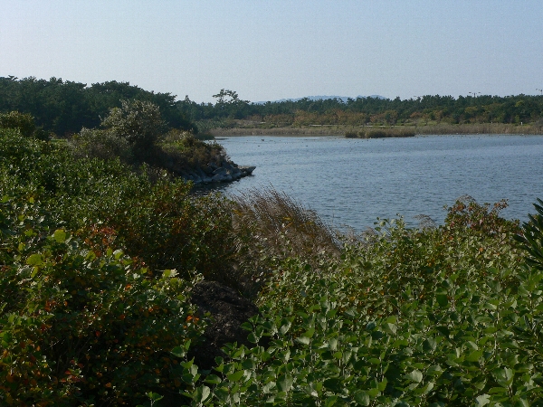 e0002314_1928643.jpg