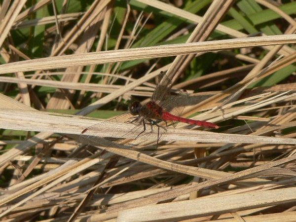 e0002314_1931663.jpg