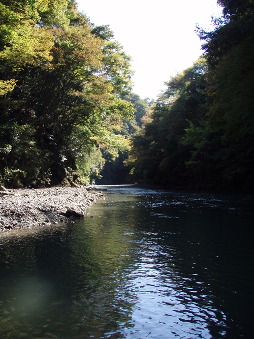 b0121015_2222143.jpg