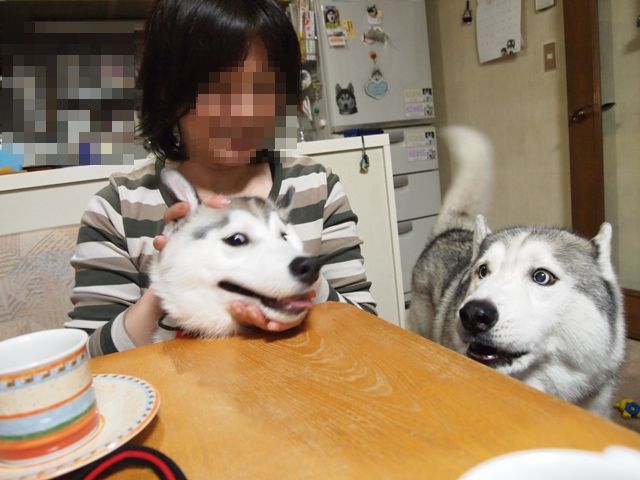 b0207615_21242993.jpg
