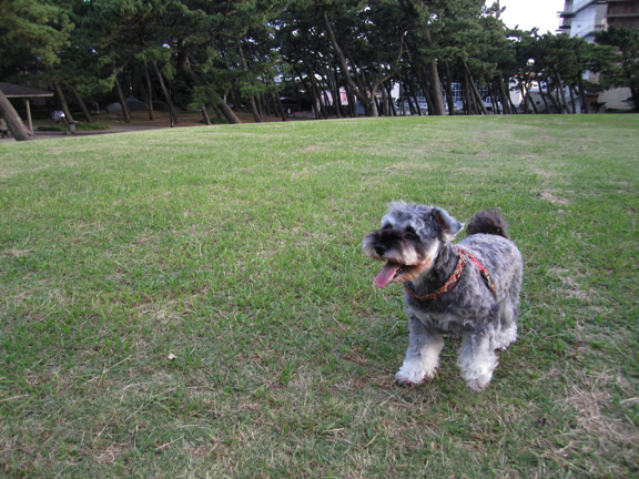 c0219815_0345937.jpg