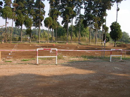 c0223419_17252792.jpg