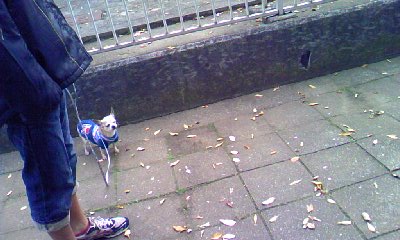 c0150520_1123890.jpg