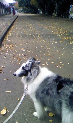 c0150520_1125944.jpg