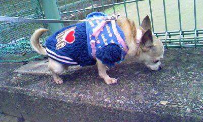 c0150520_1132072.jpg