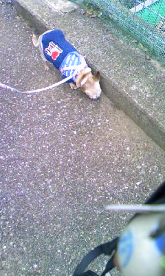 c0150520_113927.jpg