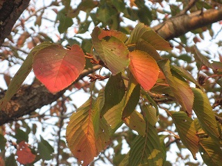 f0139520_2212848.jpg