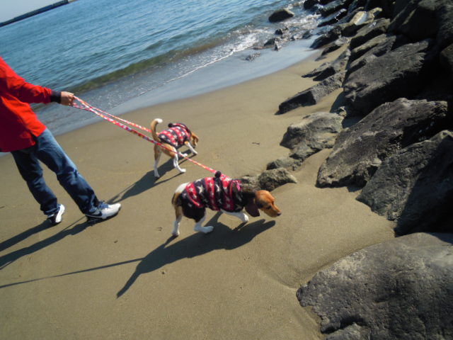 c0166622_1337382.jpg