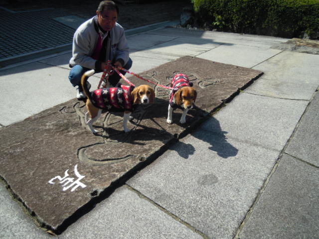 c0166622_1442579.jpg