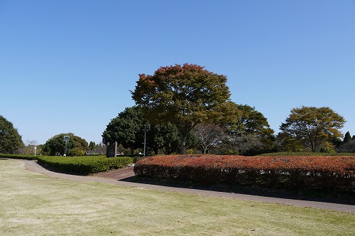 d0023323_09049.jpg