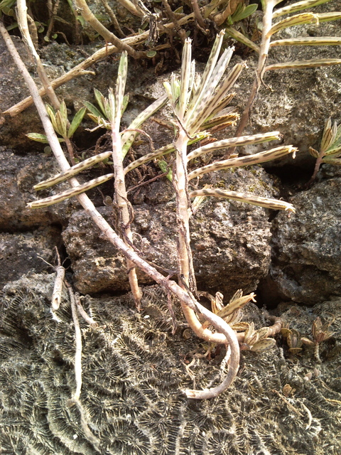 f0197325_1113186.jpg