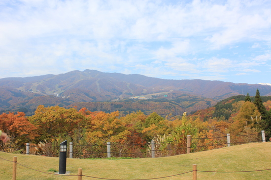 e0024126_2151454.jpg