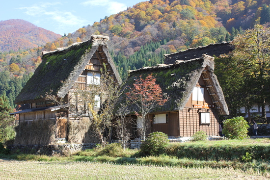 e0024126_21542440.jpg