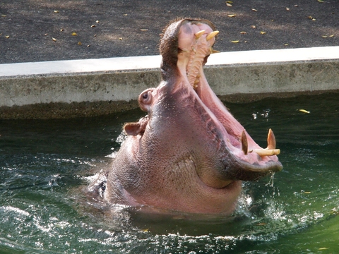 b0201233_011787.jpg